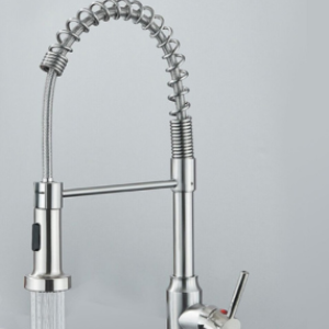 Kitchen Mixer & Spray Attachment